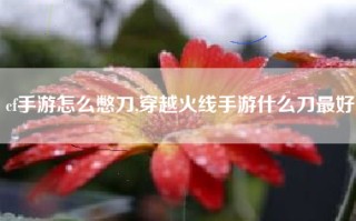 cf手游怎么憋刀,穿越火线手游什么刀最好