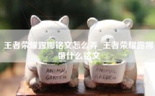 王者荣耀露娜铭文怎么弄_王者荣耀露娜带什么铭文