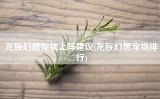 龙族幻想宠物上阵建议(龙族幻想宠物排行)