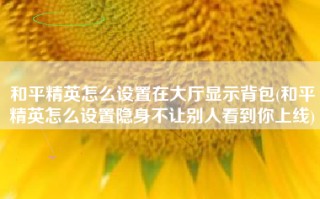 和平精英怎么设置在大厅显示背包(和平精英怎么设置隐身不让别人看到你上线)