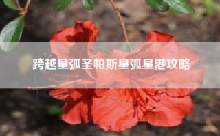 跨越星弧圣帕斯星弧星港攻略