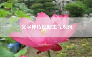 文字梗传媳妇生气攻略