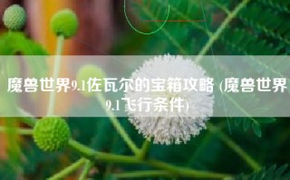 魔兽世界9.1佐瓦尔的宝箱攻略 (魔兽世界9.1飞行条件)