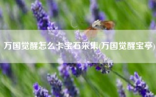 万国觉醒怎么卡宝石采集(万国觉醒宝亭)