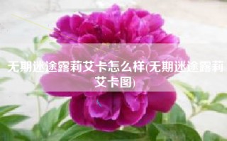 无期迷途露莉艾卡怎么样(无期迷途露莉艾卡图)