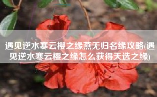遇见逆水寒云樱之缘燕无归名缘攻略(遇见逆水寒云樱之缘怎么获得天选之缘)