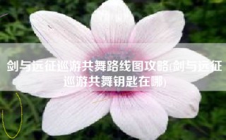 剑与远征巡游共舞路线图攻略(剑与远征巡游共舞钥匙在哪)