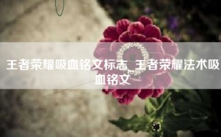 王者荣耀吸血铭文标志_王者荣耀法术吸血铭文