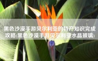 黑色沙漠手游贝尔利亚的特产知识完成攻略(黑色沙漠手游贝尔利亚水晶玻璃)