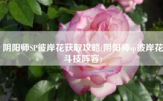 阴阳师SP彼岸花获取攻略(阴阳师sp彼岸花斗技阵容)