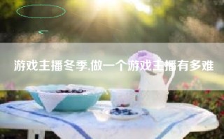 游戏主播冬季,做一个游戏主播有多难