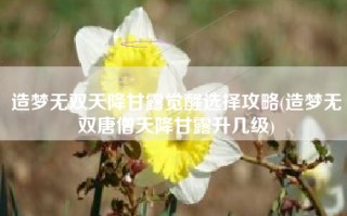 造梦无双天降甘露觉醒选择攻略(造梦无双唐僧天降甘露升几级)
