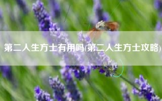 第二人生方士有用吗(第二人生方士攻略)