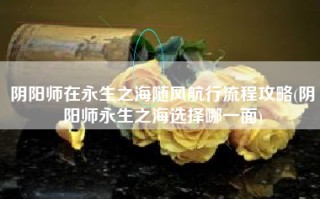 阴阳师在永生之海随风航行流程攻略(阴阳师永生之海选择哪一面)