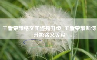 王者荣耀铭文买还是升级_王者荣耀如何升级铭文等级