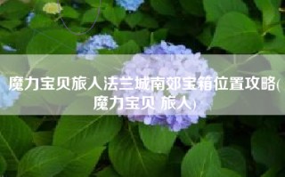 魔力宝贝旅人法兰城南郊宝箱位置攻略(魔力宝贝 旅人)