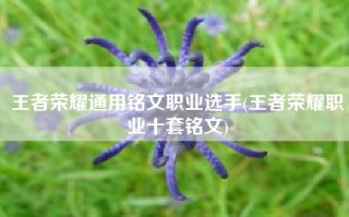 王者荣耀通用铭文职业选手(王者荣耀职业十套铭文)