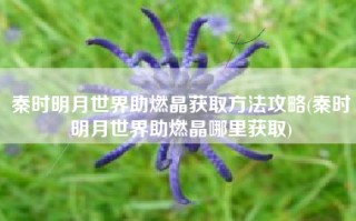 秦时明月世界助燃晶获取方法攻略(秦时明月世界助燃晶哪里获取)