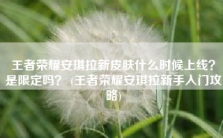 王者荣耀安琪拉新皮肤什么时候上线？是限定吗？ (王者荣耀安琪拉新手入门攻略)