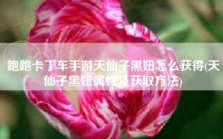 跑跑卡丁车手游天仙子黑妞怎么获得(天仙子黑妞属性及获取方法)