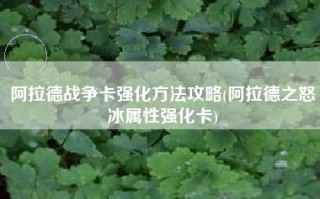 阿拉德战争卡强化方法攻略(阿拉德之怒冰属性强化卡)