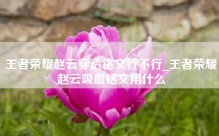 王者荣耀赵云穿透铭文行不行_王者荣耀赵云吸血铭文用什么