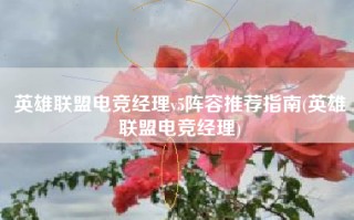 英雄联盟电竞经理v5阵容推荐指南(英雄联盟电竞经理)