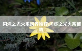 闪烁之光火系培养推荐(闪烁之光火系辅助)