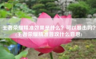 王者荣耀精准效果是什么？可以暴击吗？(王者荣耀精准普攻什么意思)