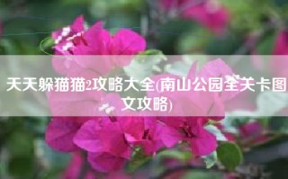 天天躲猫猫2攻略大全(南山公园全关卡图文攻略)