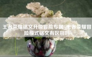 王者荣耀铭文升级冒险专属_王者荣耀冒险模式铭文有区别吗