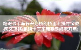 跑跑卡丁车在开启桥的桥面上搜寻宝藏图文攻略(跑跑卡丁车新赛季尚未开启)