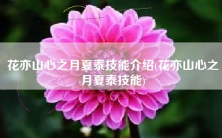 花亦山心之月夏泰技能介绍(花亦山心之月夏泰技能)