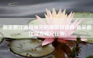新笑傲江湖肖师兄的猫如何获得(新笑傲江湖肖师兄在哪)