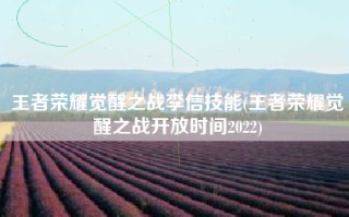 王者荣耀觉醒之战李信技能(王者荣耀觉醒之战开放时间2022)