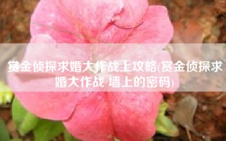 赏金侦探求婚大作战上攻略(赏金侦探求婚大作战 墙上的密码)