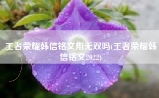 王者荣耀韩信铭文用无双吗(王者荣耀韩信铭文2022)