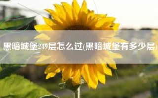 黑暗城堡249层怎么过(黑暗城堡有多少层)