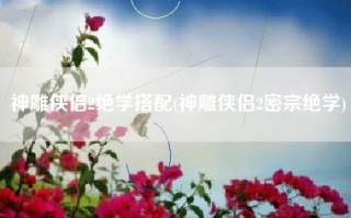 神雕侠侣2绝学搭配(神雕侠侣2密宗绝学)