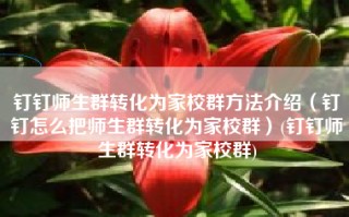 钉钉师生群转化为家校群方法介绍（钉钉怎么把师生群转化为家校群）(钉钉师生群转化为家校群)