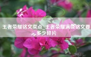 王者荣耀铭文卖点_王者荣耀满级铭文要多少碎片