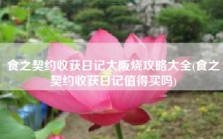 食之契约收获日记大阪烧攻略大全(食之契约收获日记值得买吗)