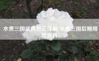 水煮三国武将赵云详解(水煮三国后期用啥武将)