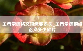 王者荣耀铭文顶级要多久_王者荣耀顶级铭文多少碎片