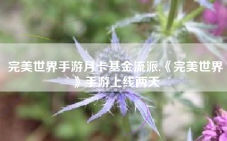 完美世界手游月卡基金流派,《完美世界》手游上线两天