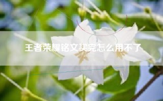 王者荣耀铭文买完怎么用不了