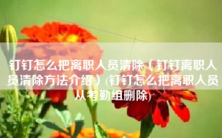 钉钉怎么把离职人员清除（钉钉离职人员清除方法介绍）(钉钉怎么把离职人员从考勤组删除)