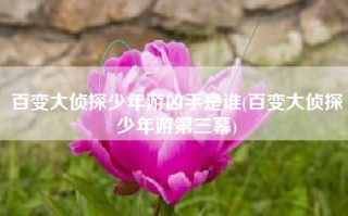 百变大侦探少年游凶手是谁(百变大侦探少年游第三幕)