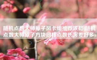 随机点数大师原子风卡组推荐攻略(随机点数大师原子方块同样点数伤害差好多)