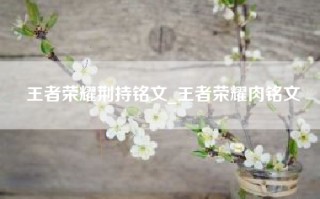 王者荣耀荆持铭文_王者荣耀肉铭文